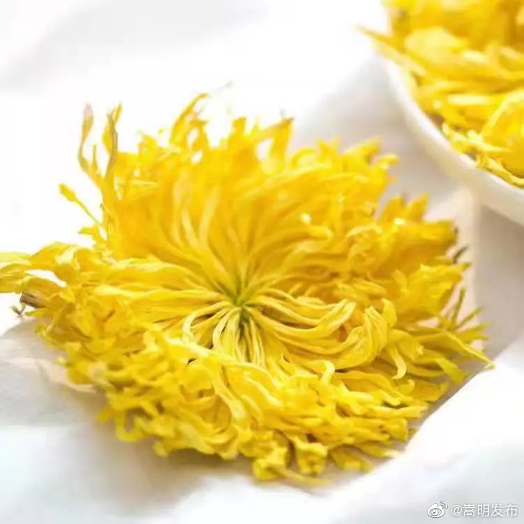嵩明发布