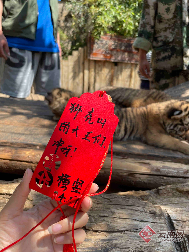 云南省文化和旅游厅