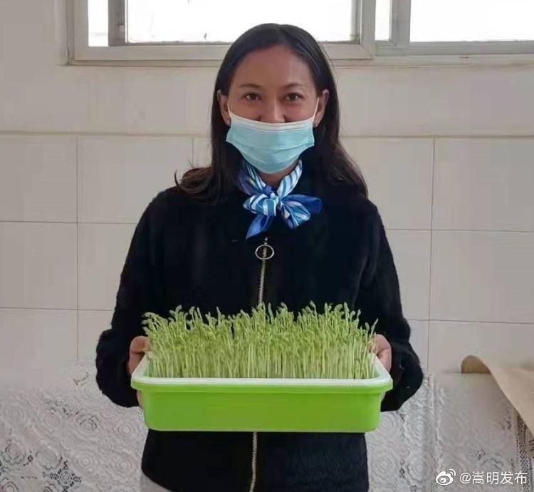 嵩明发布