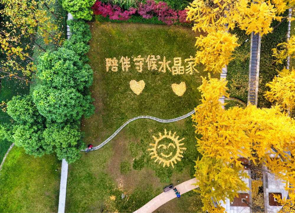云南信息报