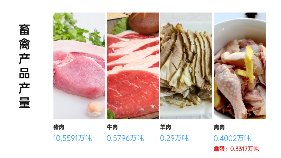 昭通日报