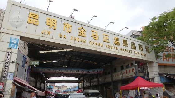 掌上春城微信公众号