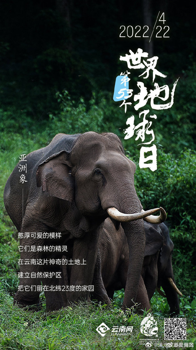 “滇池旅游度假区”微博