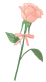 玉溪发布