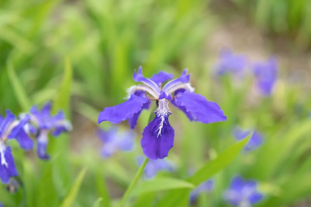 云南省文化和旅游厅
