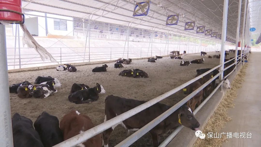 保山广播电视台