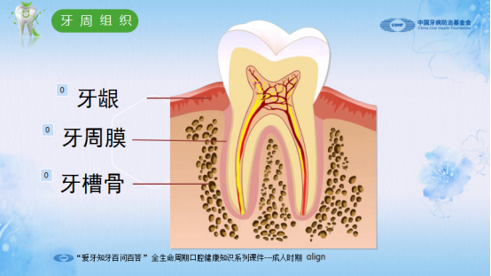 昆明医科大学附属口腔医院