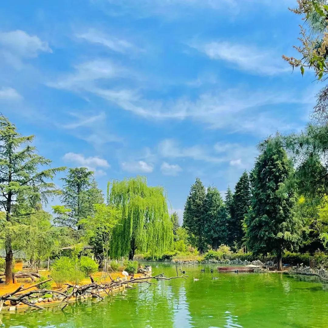 云南野生动物园