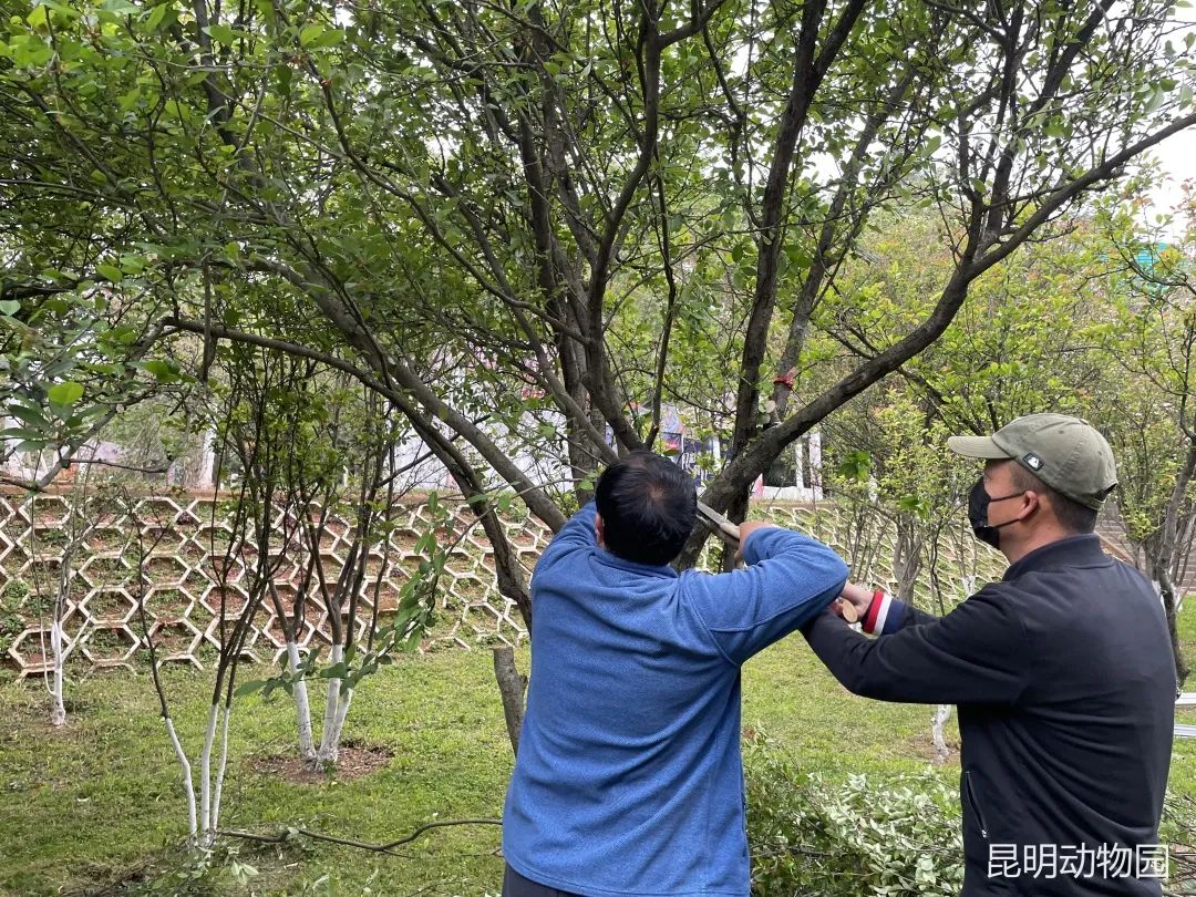 昆明动物园