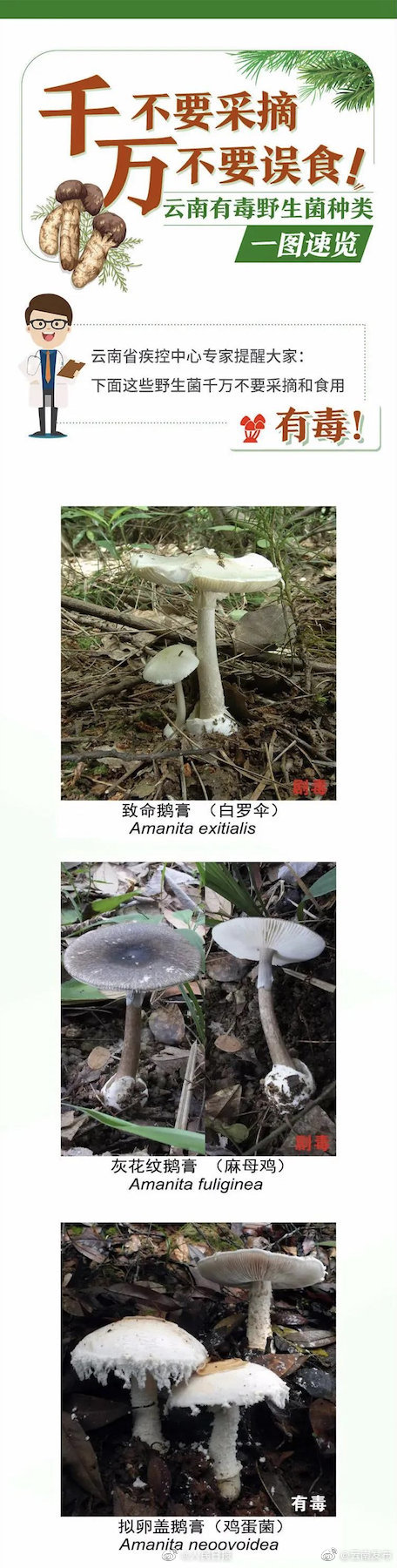 “云南发布”微博