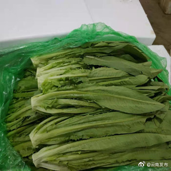 “云南发布”微博