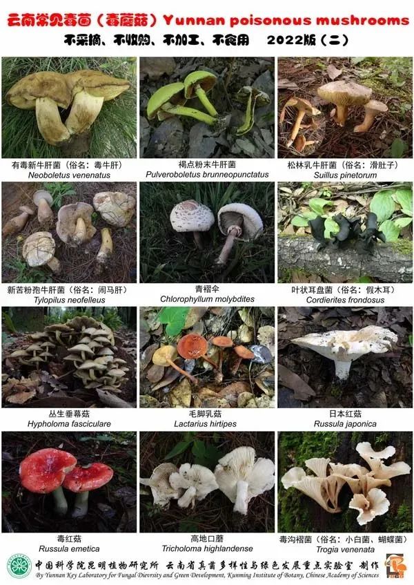 美丽云南微科普