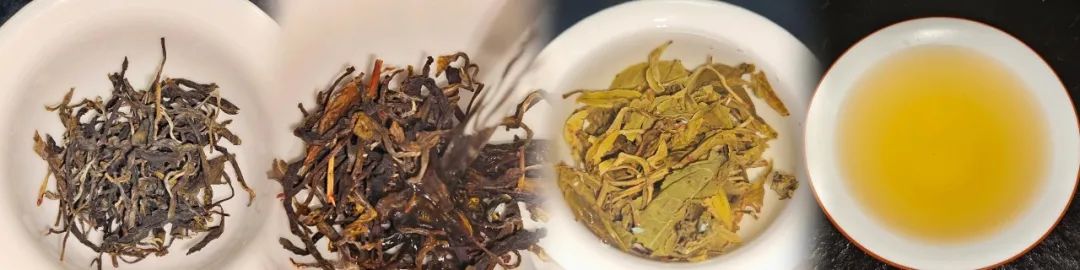 保山新闻网