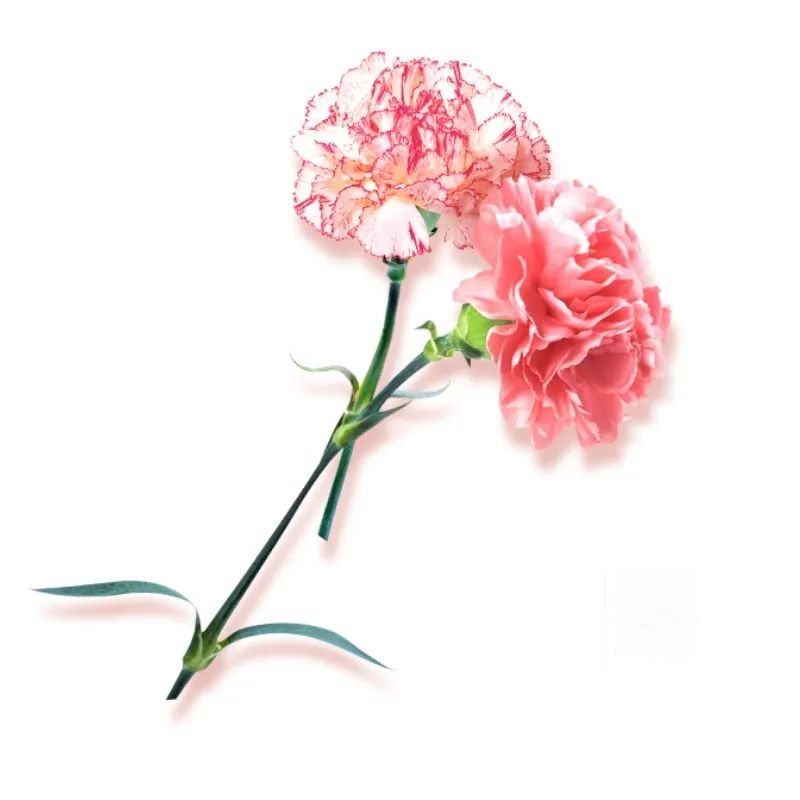 丽江就业