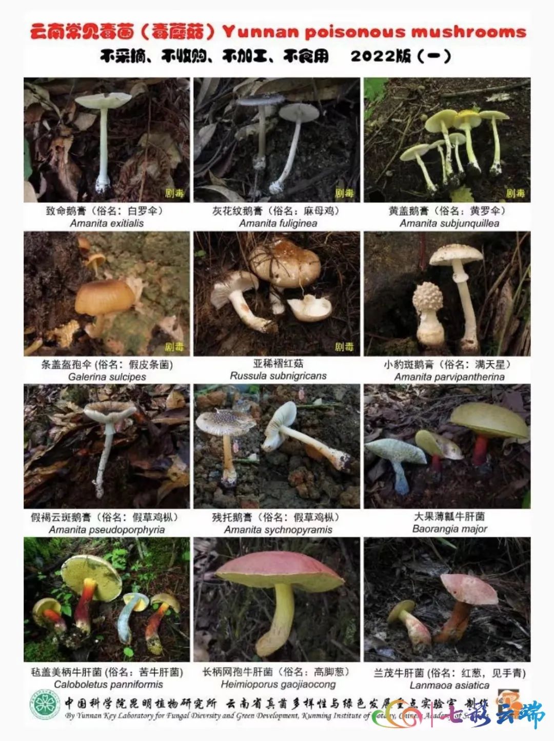 德宏广播电视台