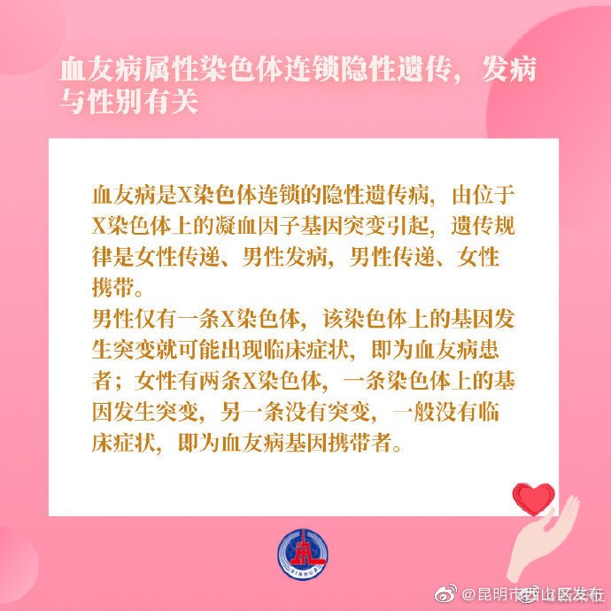 昆明市西山区发布