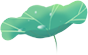 美丽云南微科普