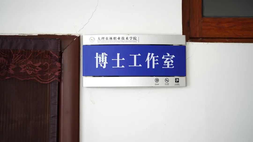 大理电视台