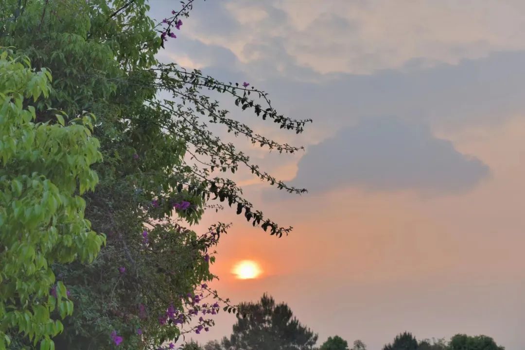 昆明信息港/cnkmxxg