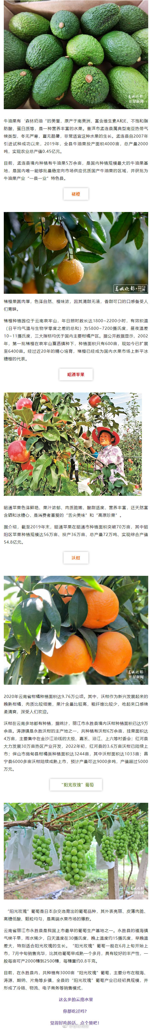 奥利给！“每10颗蓝莓有7颗来自云南”！网友怒赞：yyds！