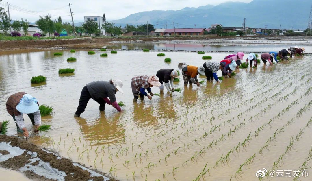 “云南发布”微博