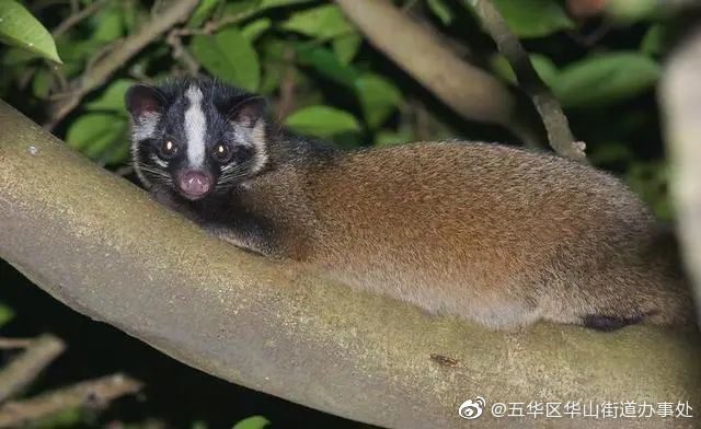 五华区华山街道办事处