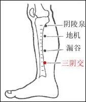 蒙自中医