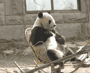 原来易胖体质是可以改变的
