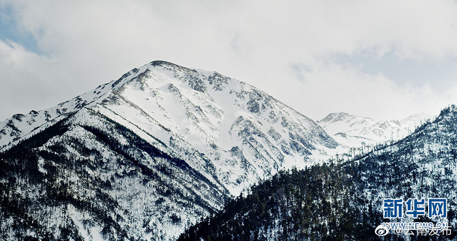 “云南发布”微博