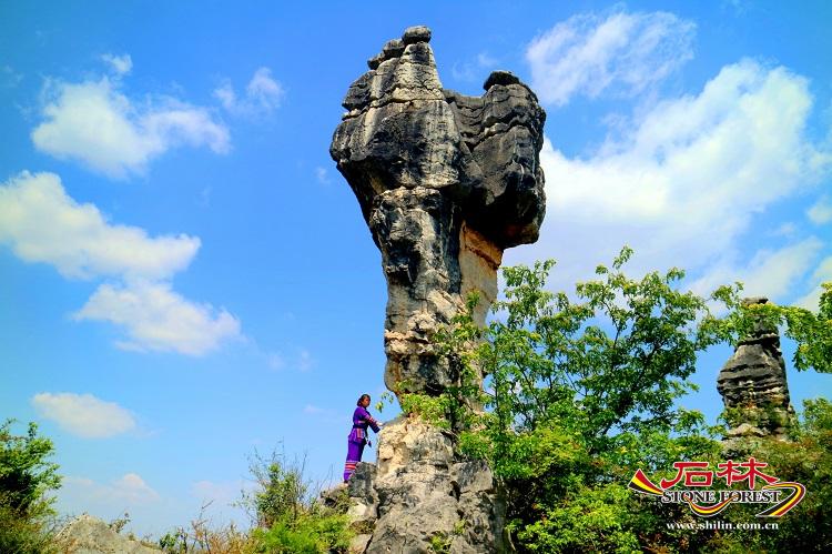 石林旅游网