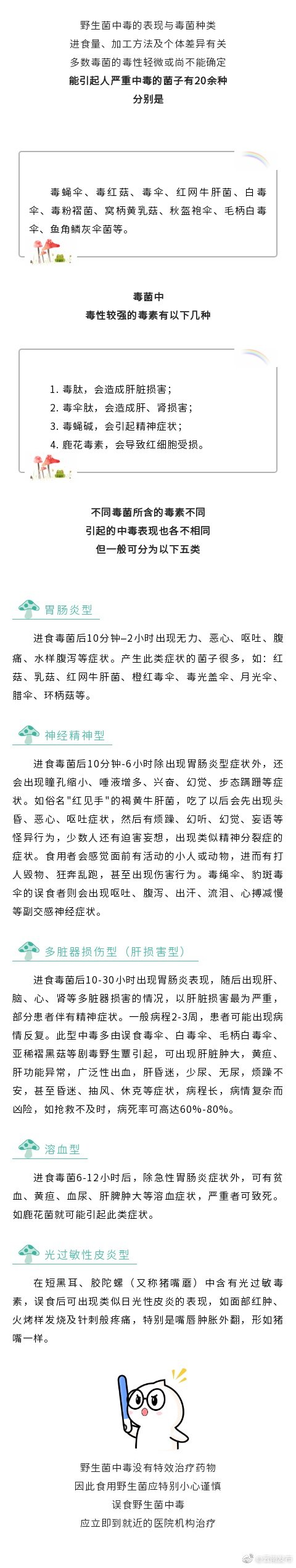 速看！野生菌中毒分类及表现有哪些？