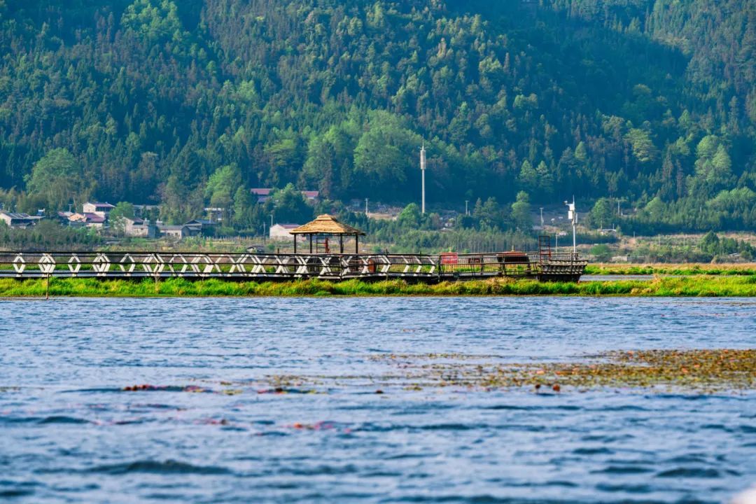 云南省文化和旅游厅