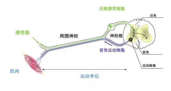 普洱市人民医院