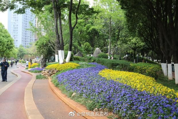 昆明盘龙发布