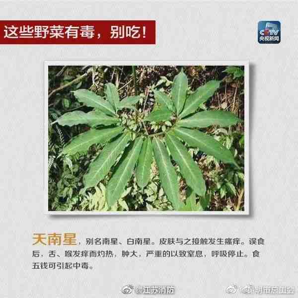 昆明市总工会