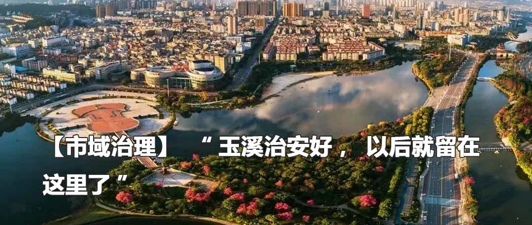 云南政法
