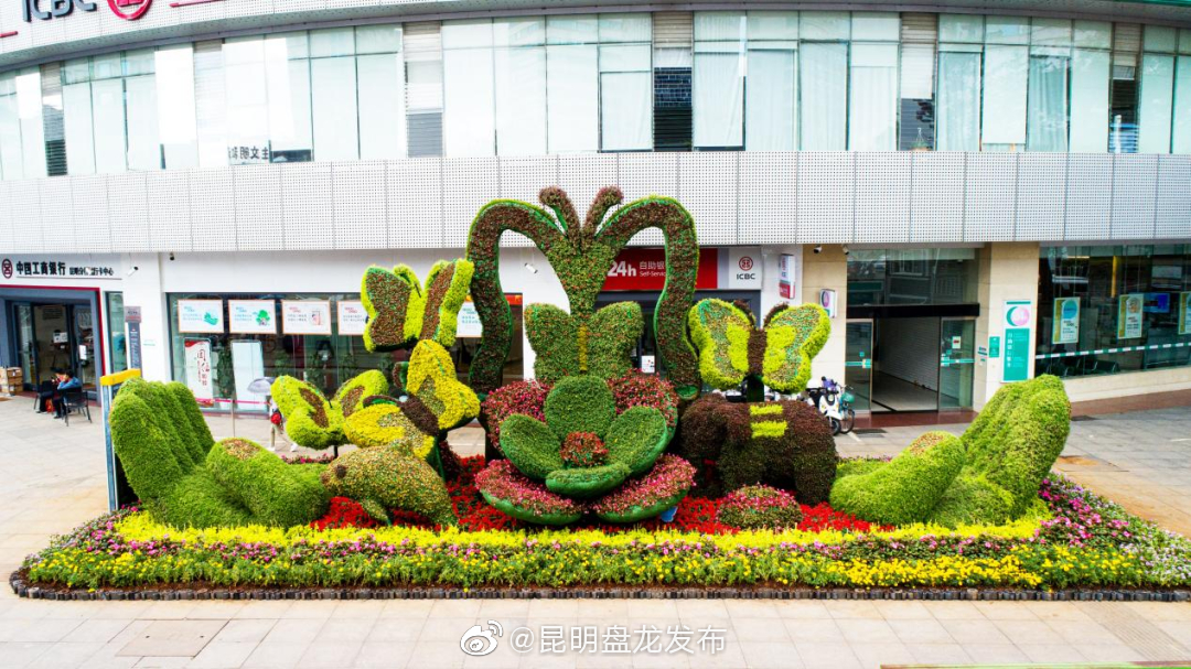 昆明盘龙发布