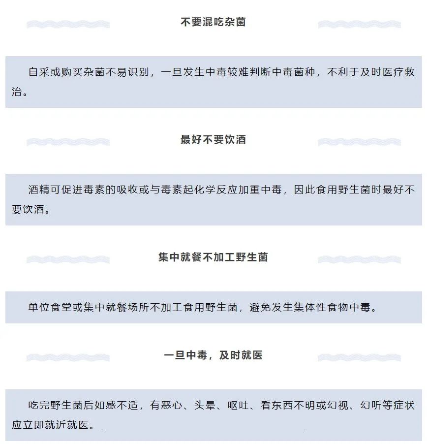 春城晚报