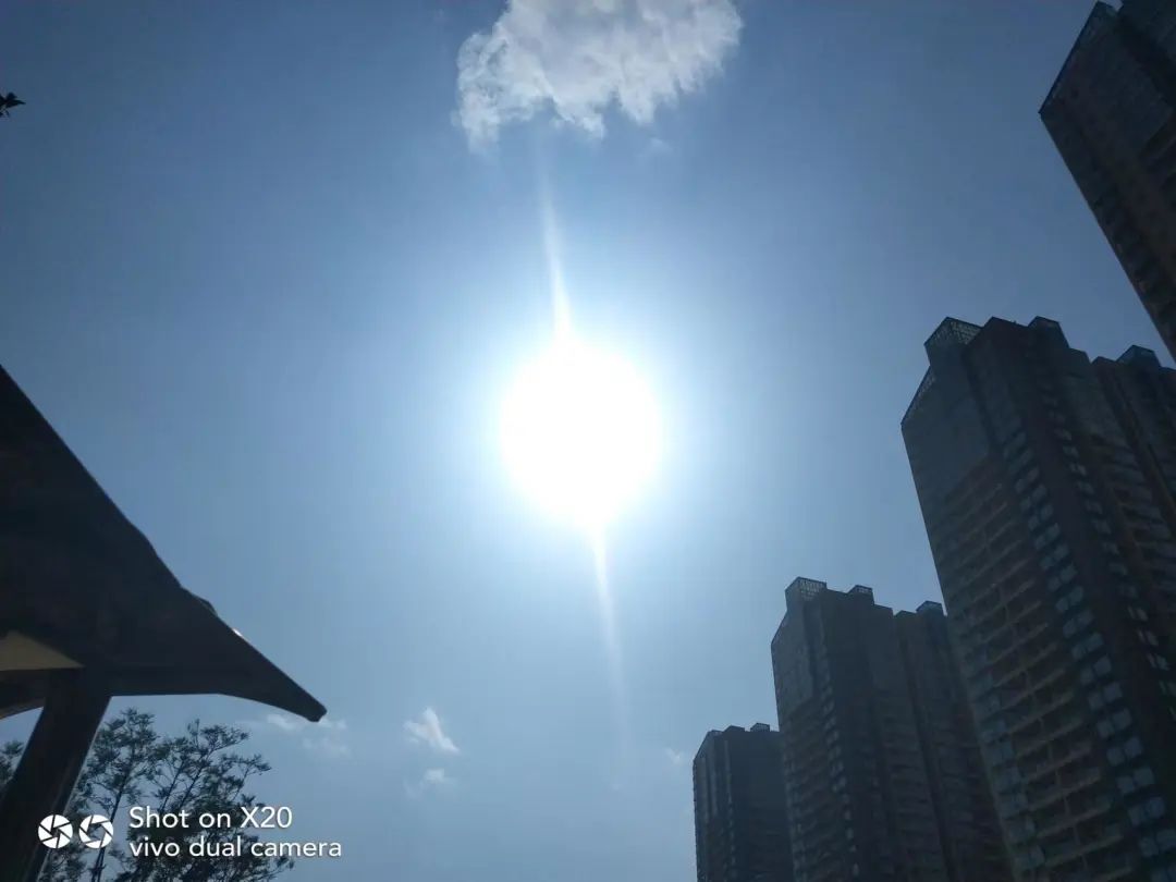 掌上春城微信公众号