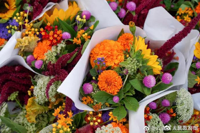 2021年云南农产品电商消费、销售增幅均为全国第一