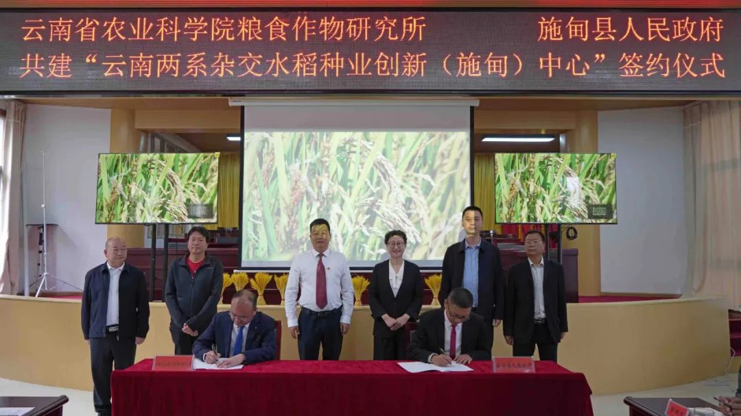 保山新闻网