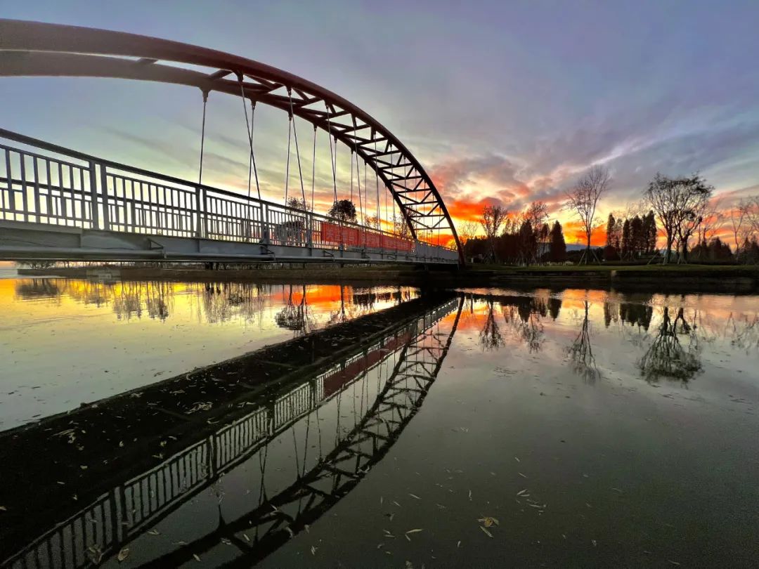 掌上春城微信公众号