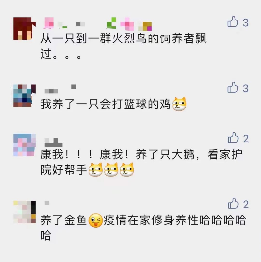 昆明信息港/cnkmxxg