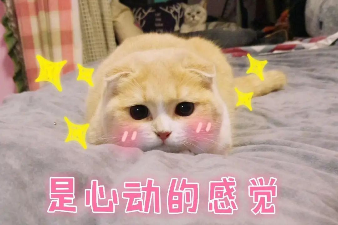 怒江州人民医院