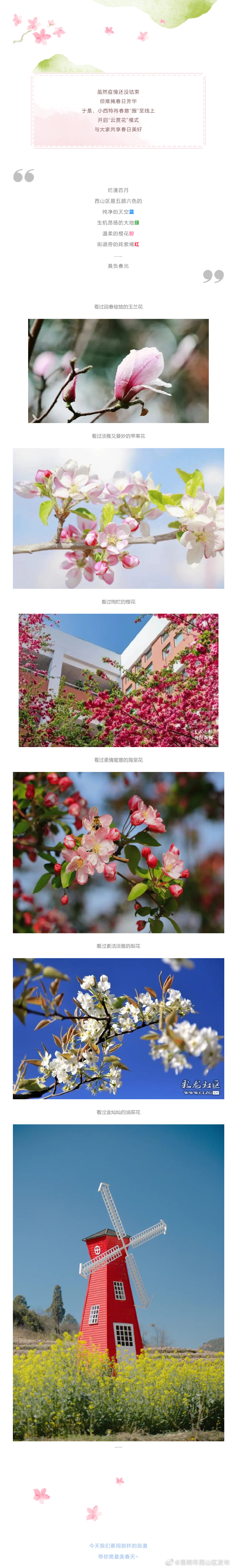 昆明市西山区发布