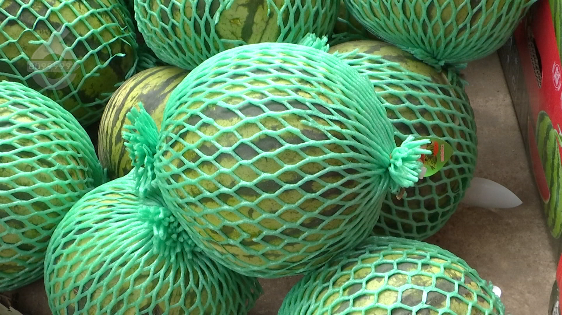 掌上春城微信公众号