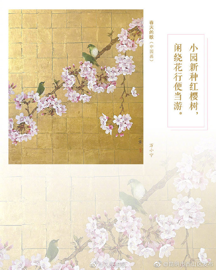 昆明市西山区发布