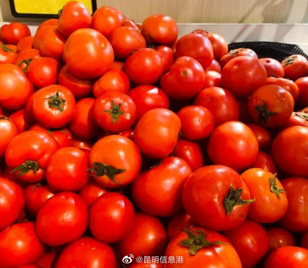 昆明信息港