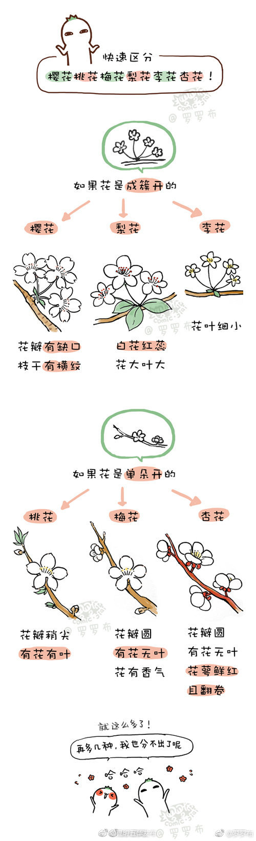 “昆明五华发布”微博
