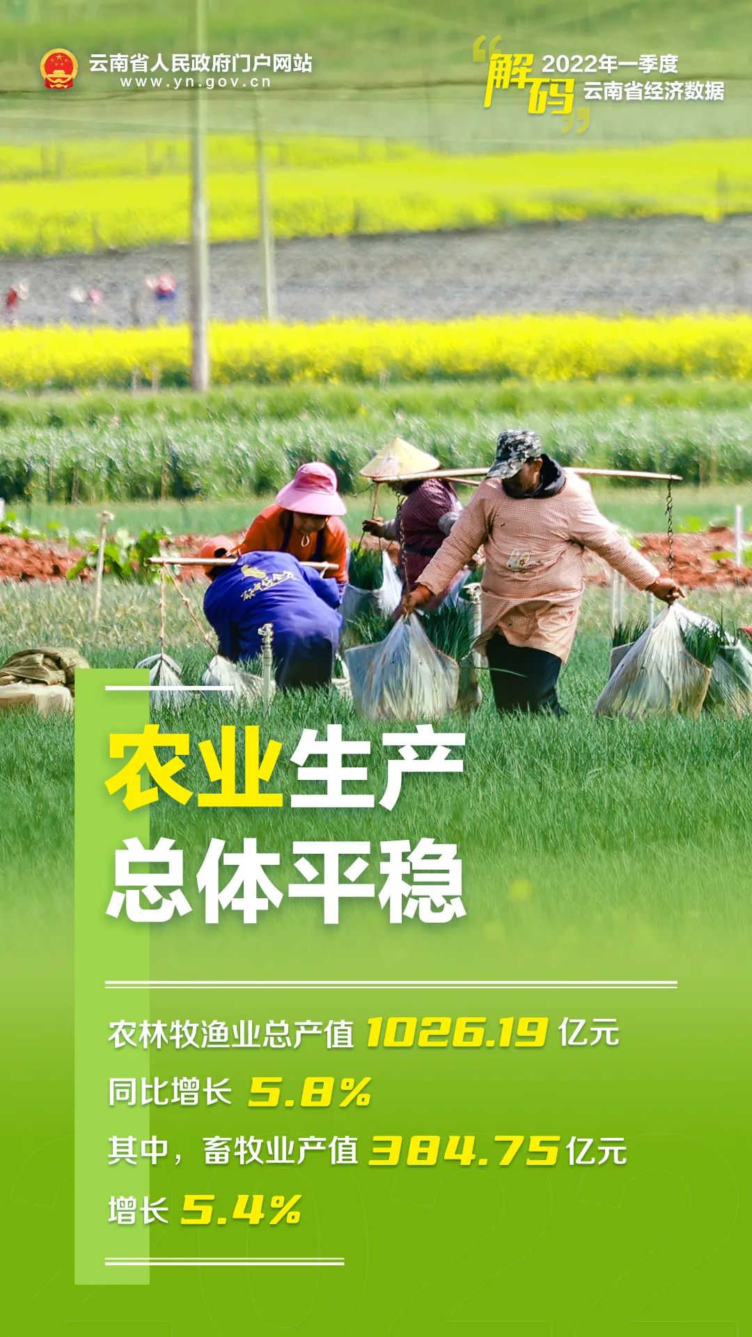 云南省人民政府网